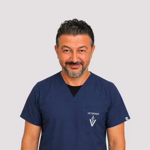 gökmen bey